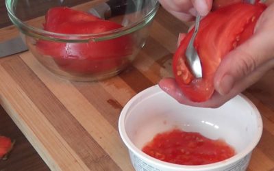 Как собрать семена помидоров на рассаду в домашних условиях